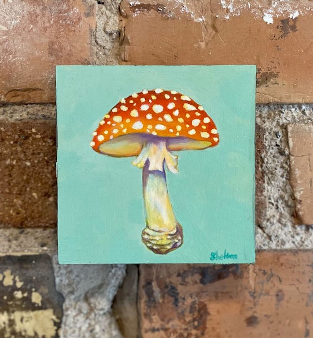 Fly Agaric Mushroom