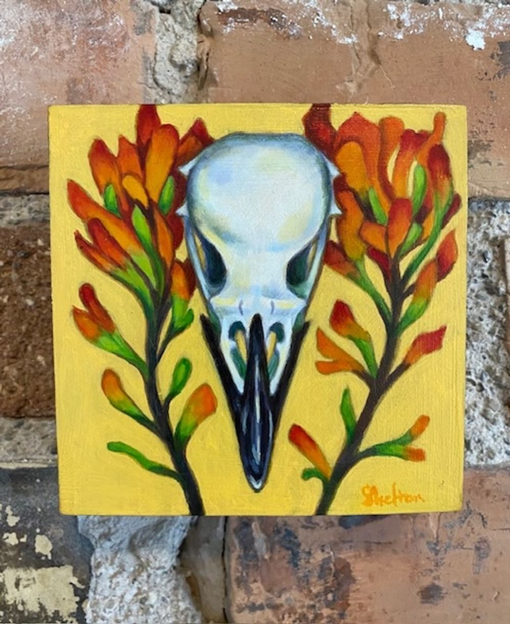 Raven Skull & Indian Paintbrush