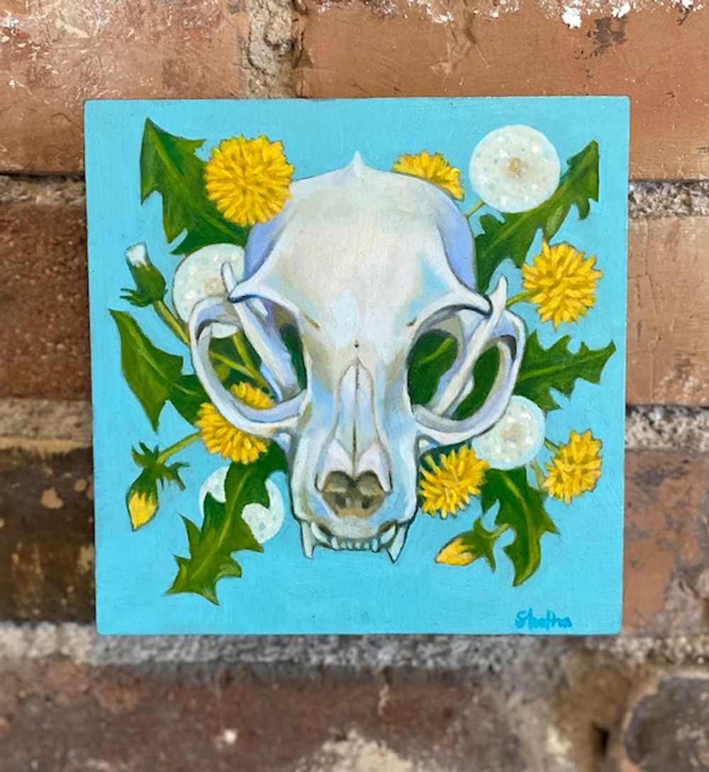 Cat Skull & Dandelions