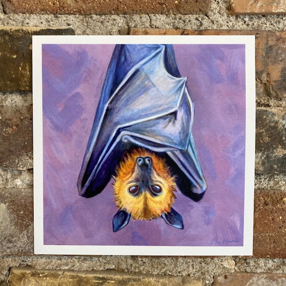 Flying Fox