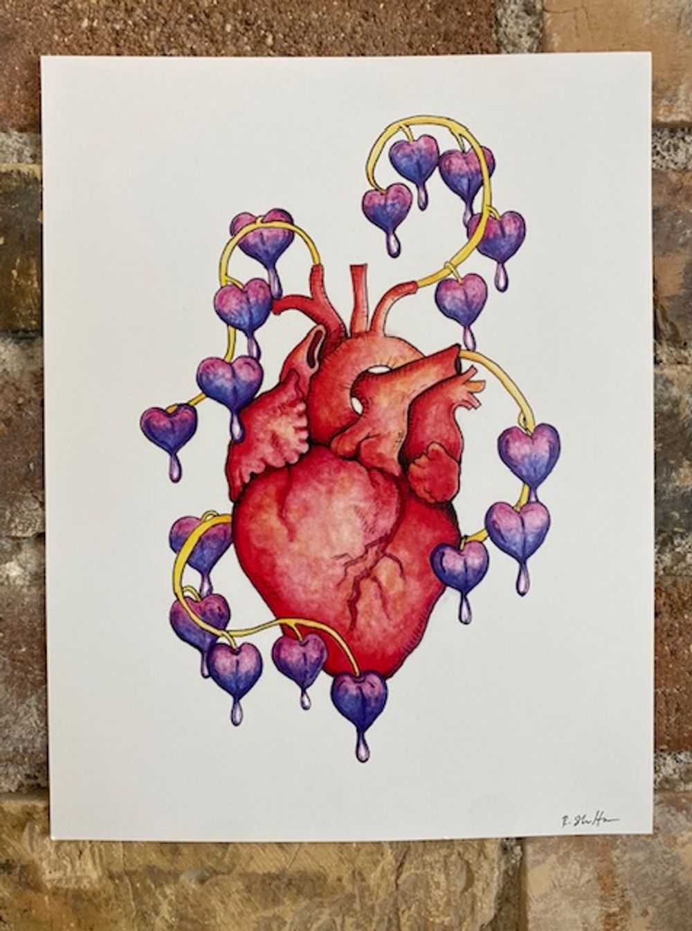 Bleeding Heart